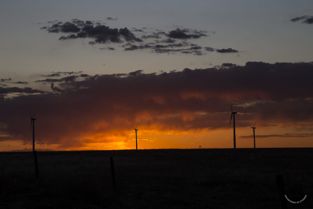 Sun setting on the wind farm.